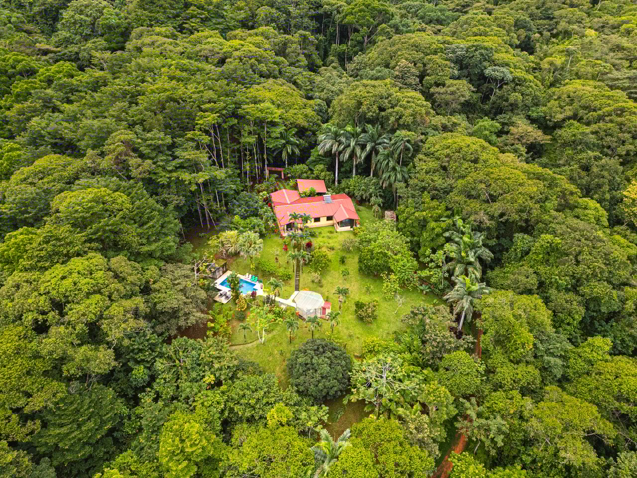 Serene Costa Rican Jungle Retreat with Waterfalls & Wildlife