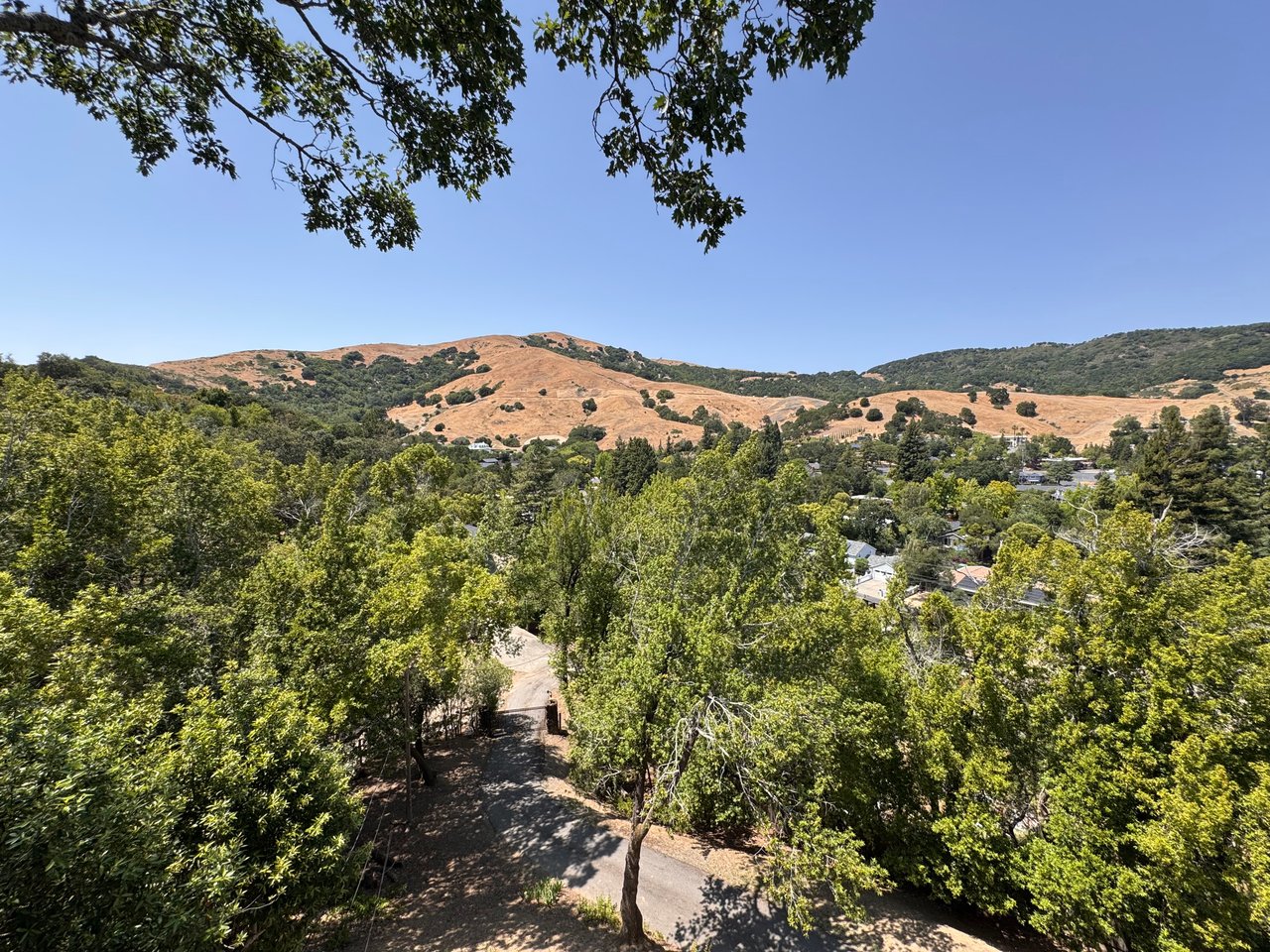 San Anselmo Private Sanctuary