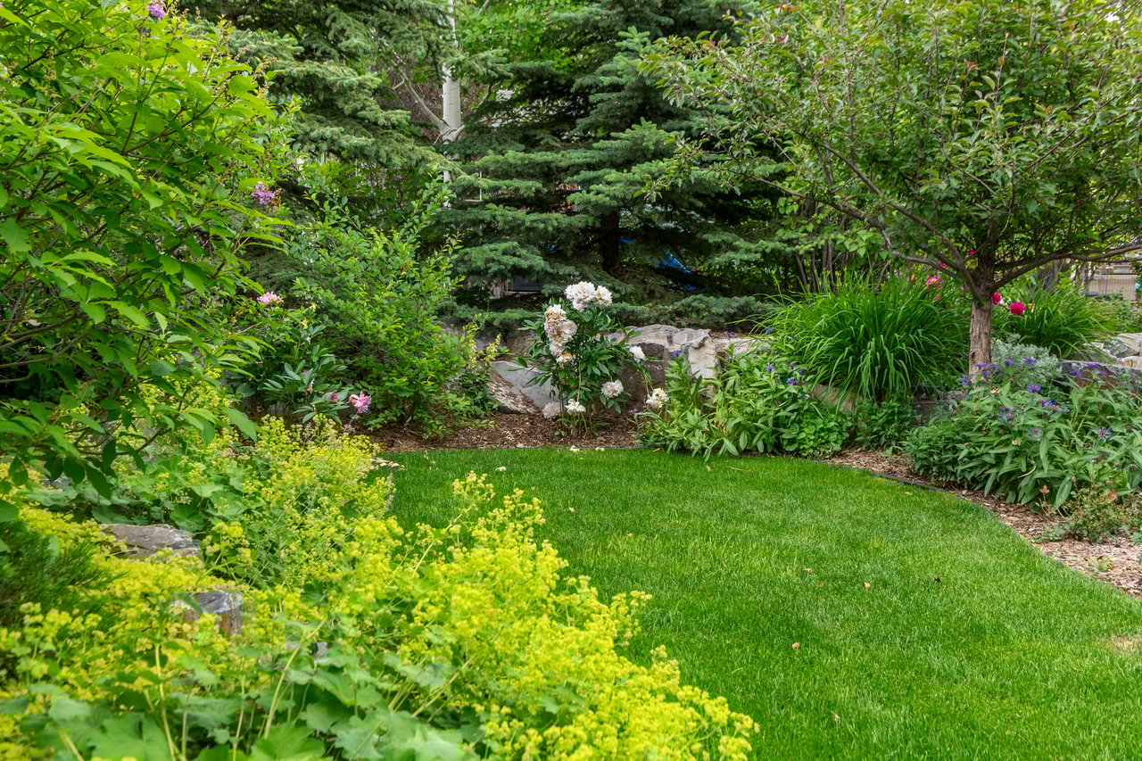 35 Tusslewood Drive NW