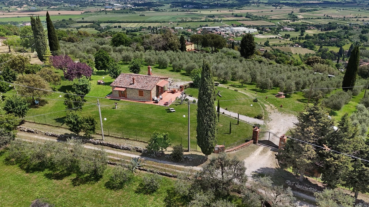 BELVEDERE DEL MAESTRO