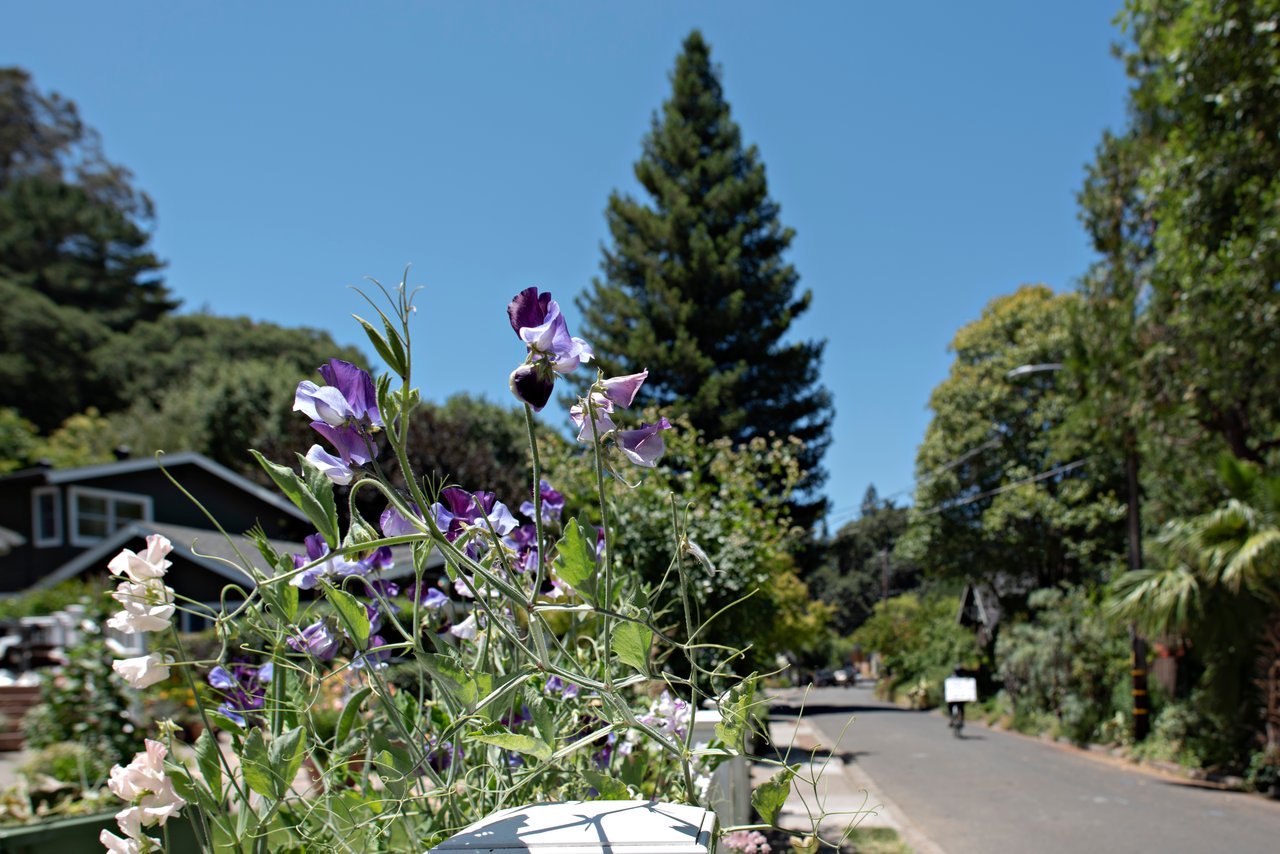 Marin County Neighborhood Guide
