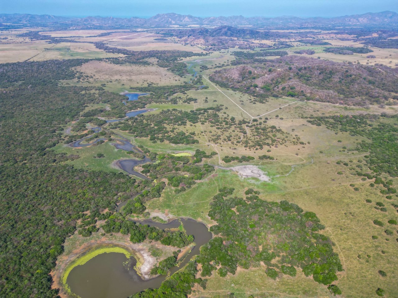 243 Hectares - Large Acreage - Costa Rica Investment Land. 