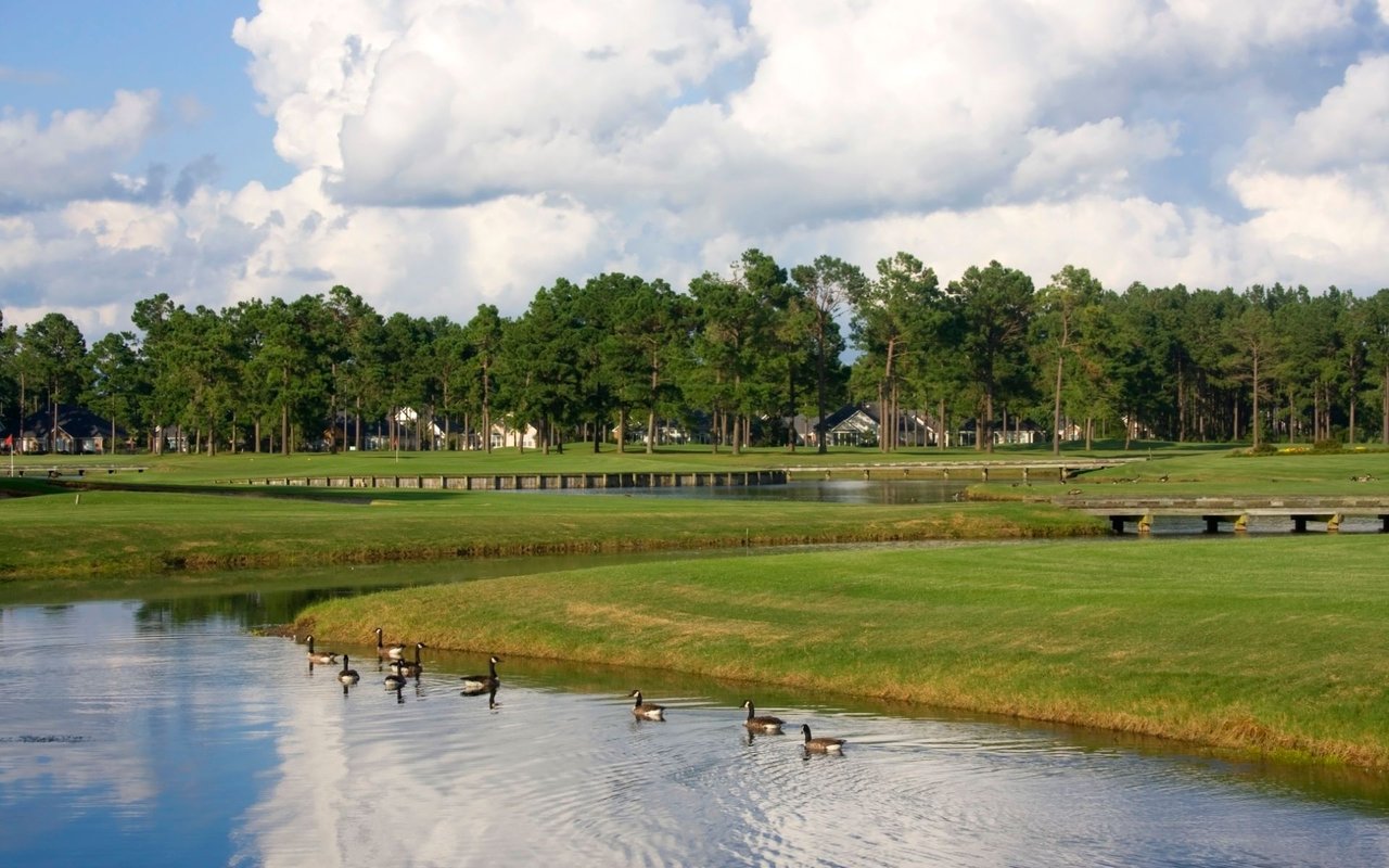 The Reserve