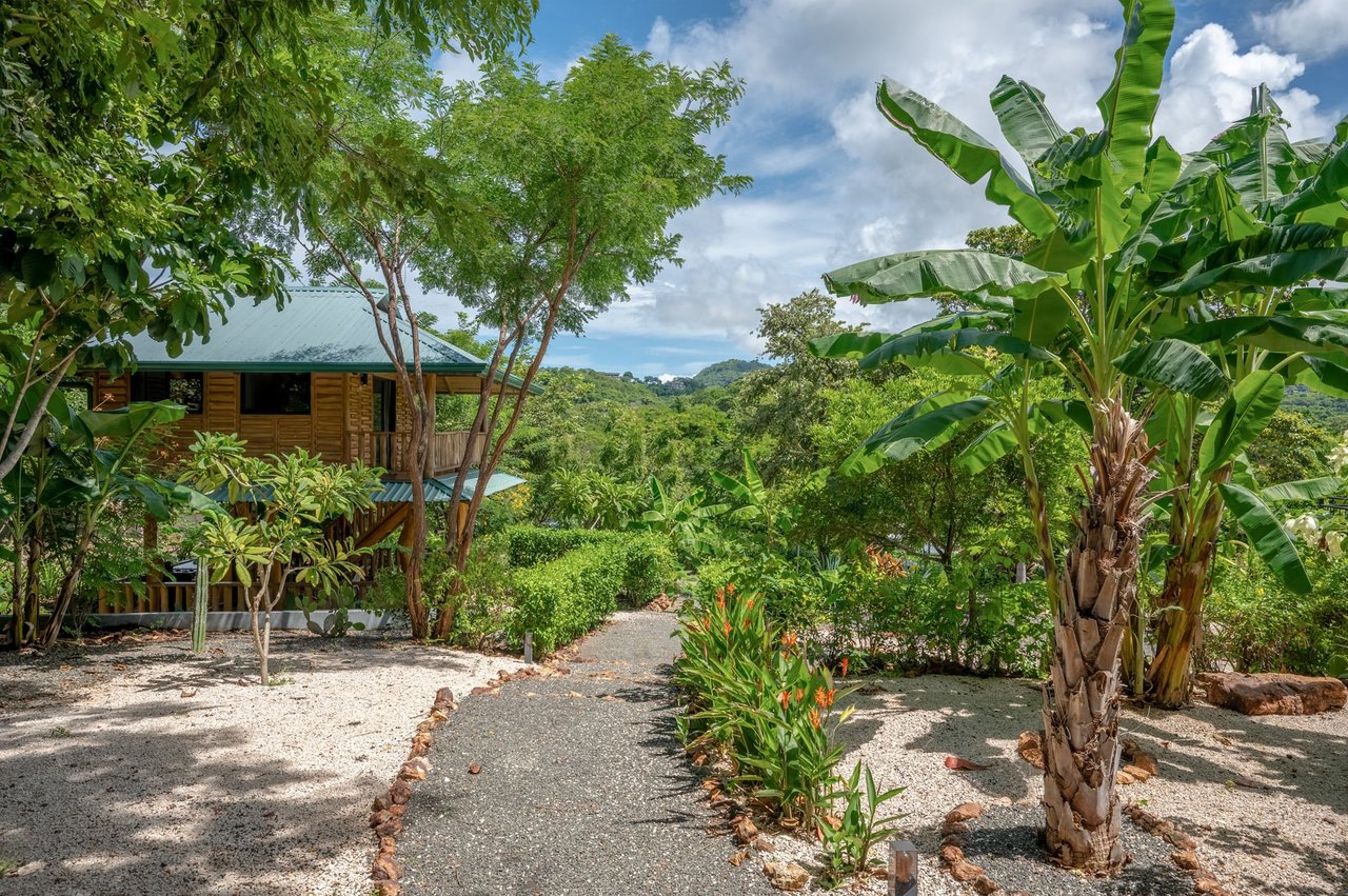 Tropical Lodge | Income-Producing Residential & Commercial Property Near Playa Grande