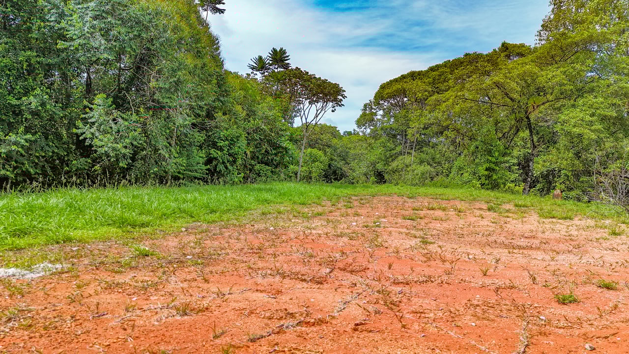 Ojochal Property for Sale – Cabins, Restaurant & 3-Bed Home