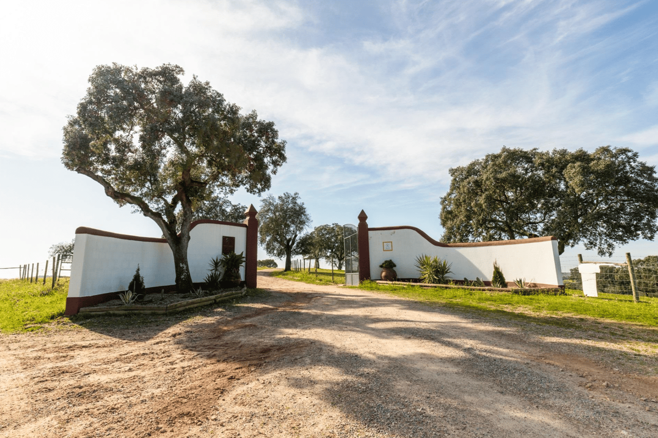 380-Hectare Countryside Equestrian Estate in Alentejo