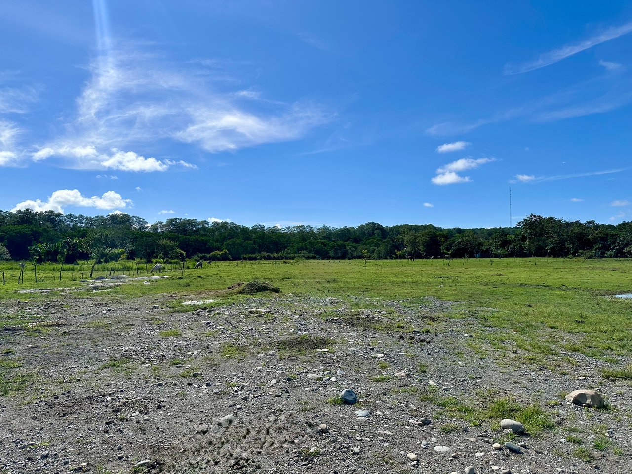 Prime Development Land Steps from the Marino Ballena National Park - Lot B