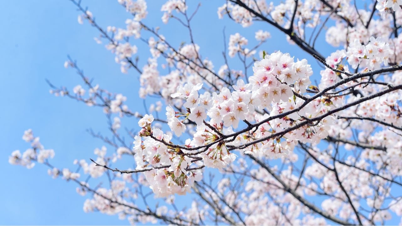 Why Spring Inventory in Coastal Orange County Looks Different This Year