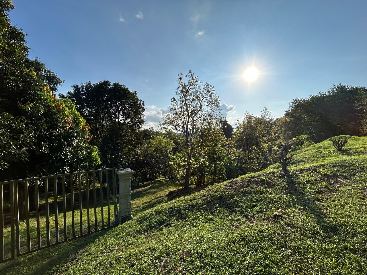 Commercial & Residential Property in Punta Mala with Producing Fruit Trees