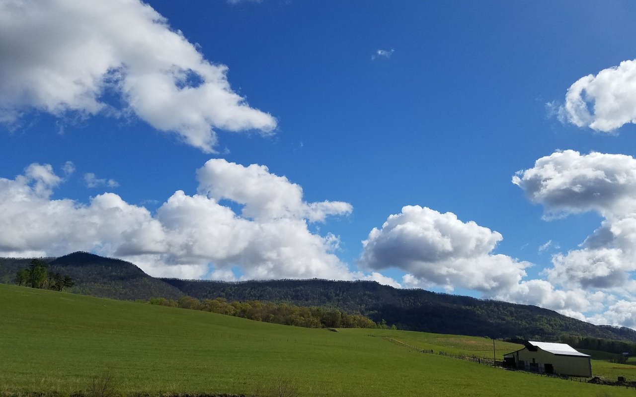 Rutherford County