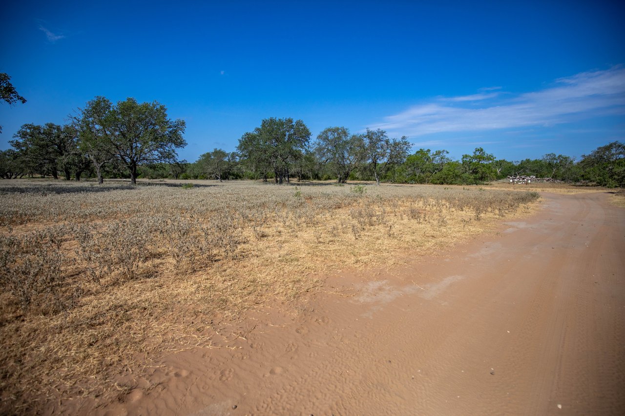 Oaks, Wildlife, & the Quiet of the Countryside | 26.99± Acres | Poteet, TX