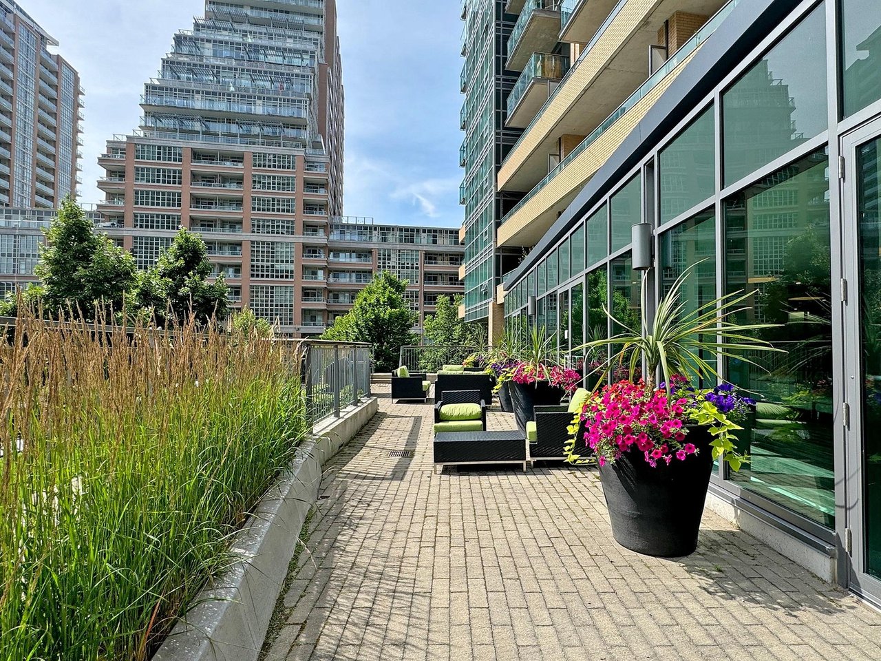 69 Lynn Williams St Unit: 204