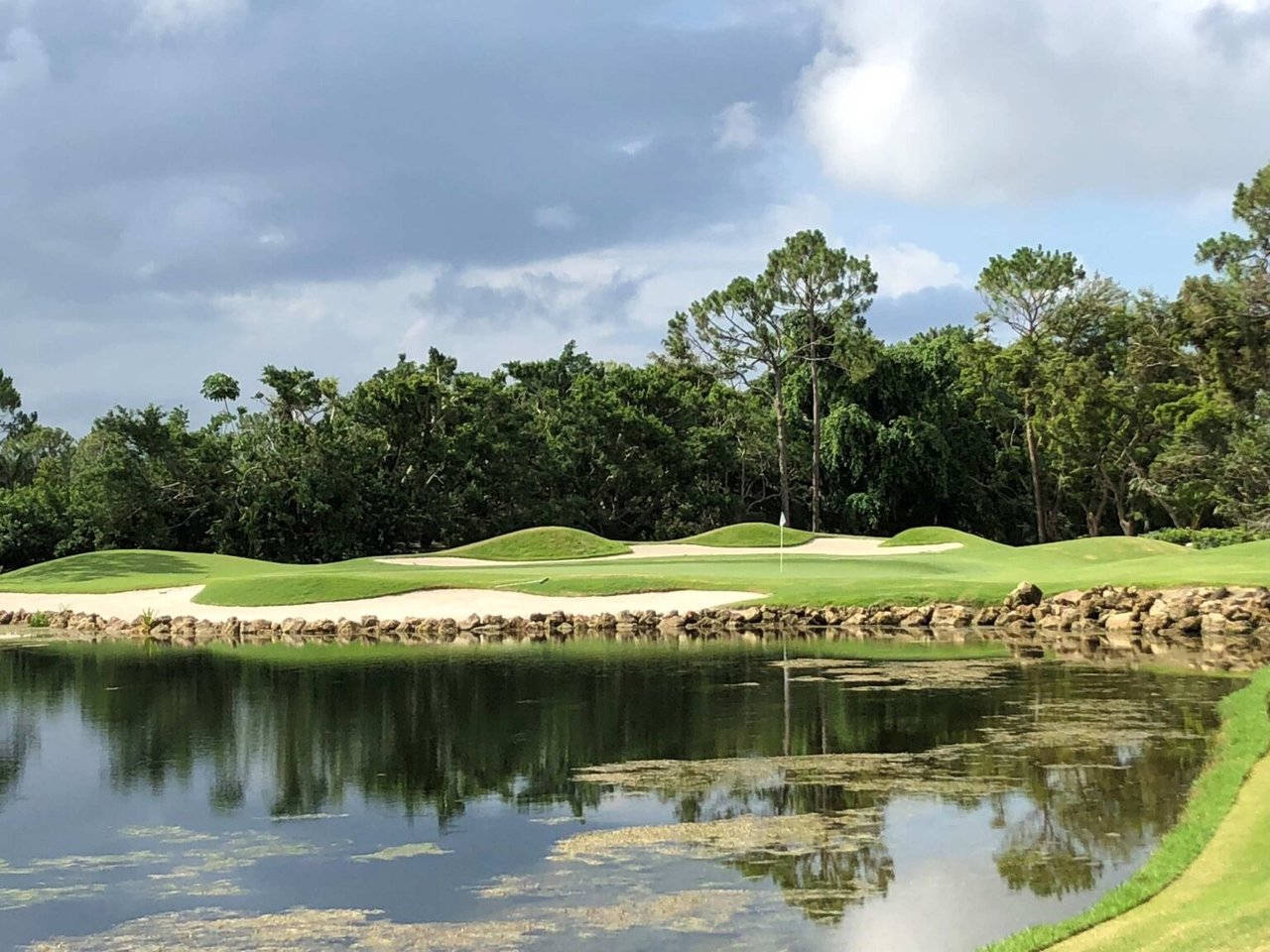 Grey Oaks