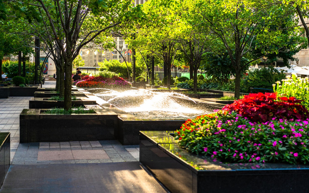 Urban plaza fountain framed by leafy trees and colorful flower beds.
