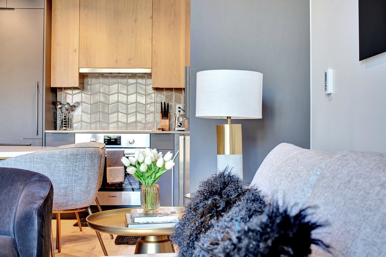 Modern Snowmass Retreat