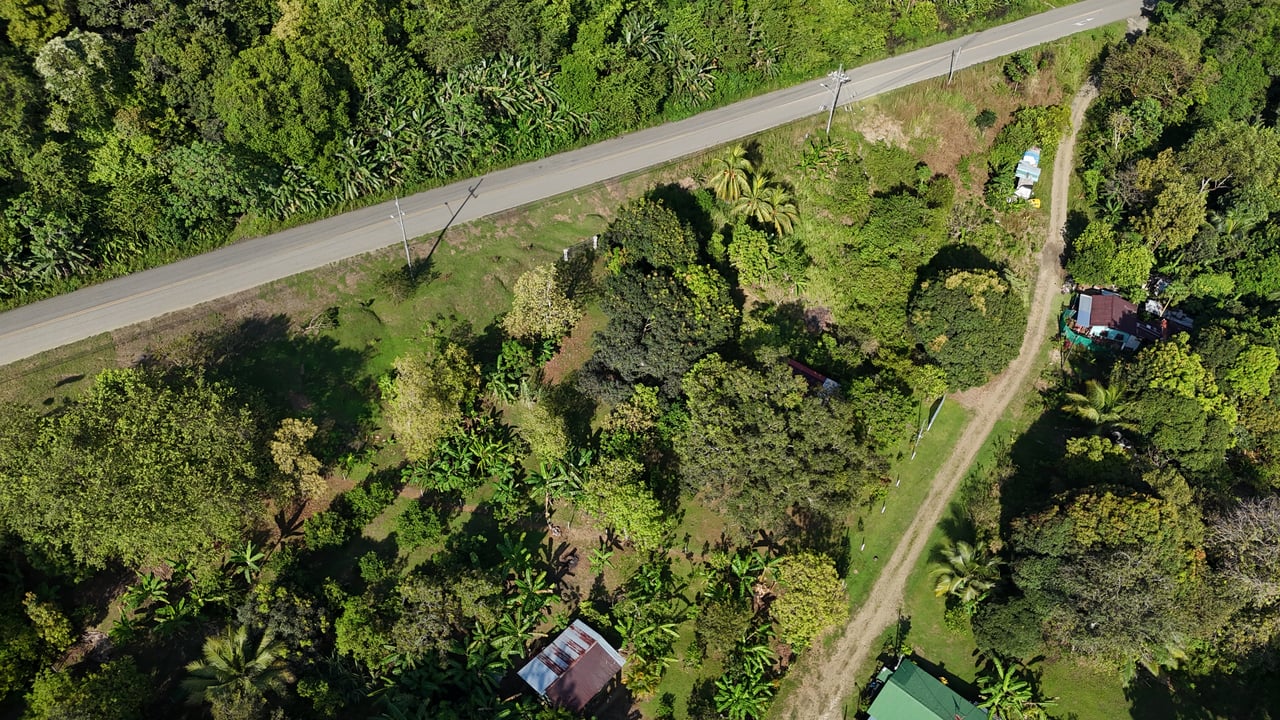 Commercial & Residential Property in Punta Mala with Producing Fruit Trees
