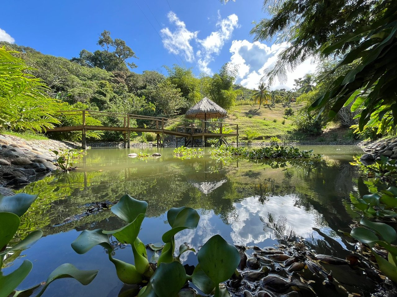 Cinematic Ocean&Mountain View Property In Vista Dominical Estate, Minutes From The Beach!