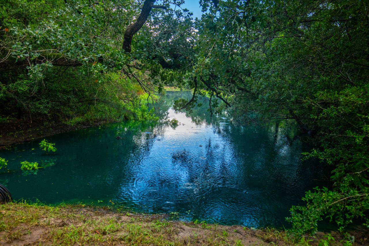 Post Oak Preserve | 18.115 ± Acres | Fayette County