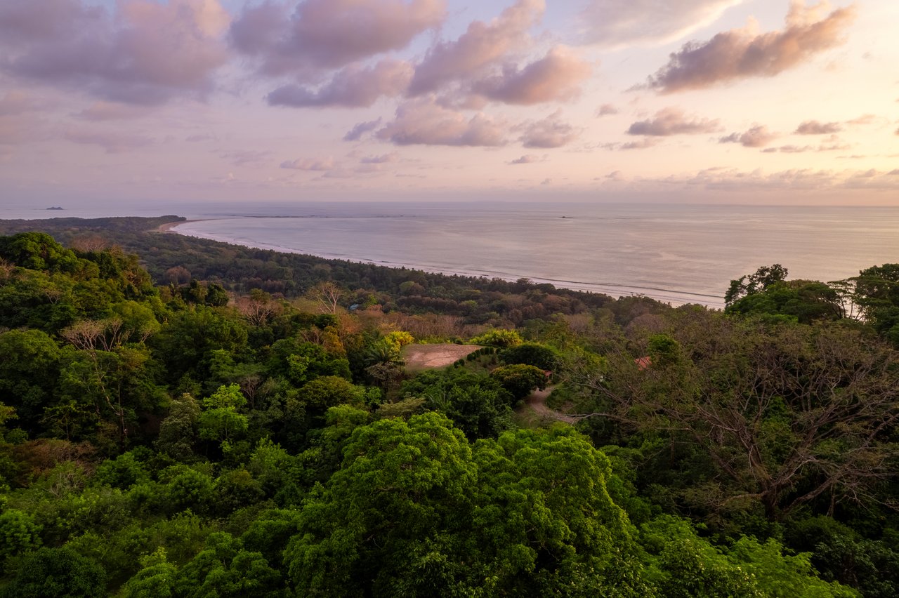 Ultra-Luxury Coastal Estate with Iconic Whale’s Tail Views