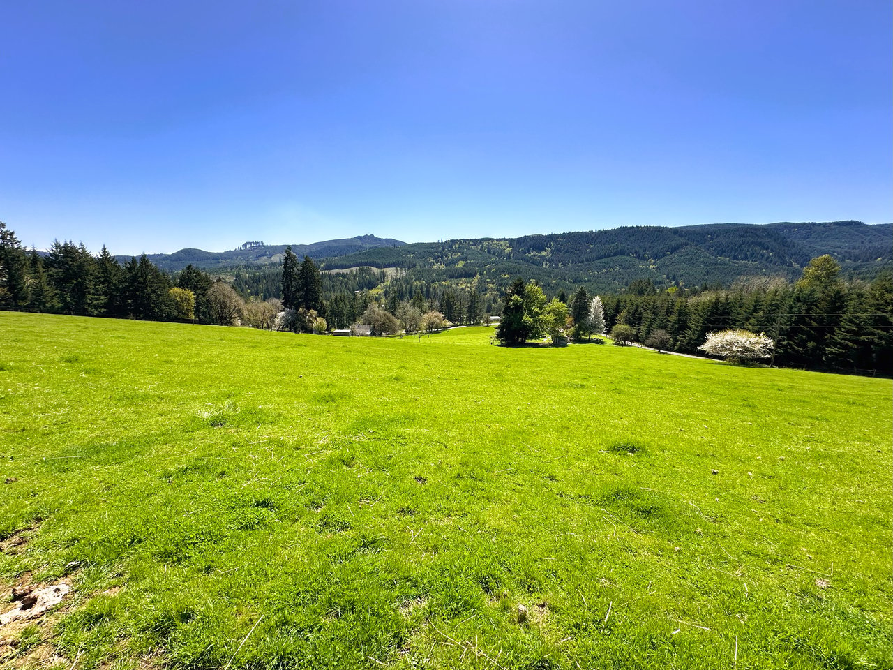 Panther Creek Homestead