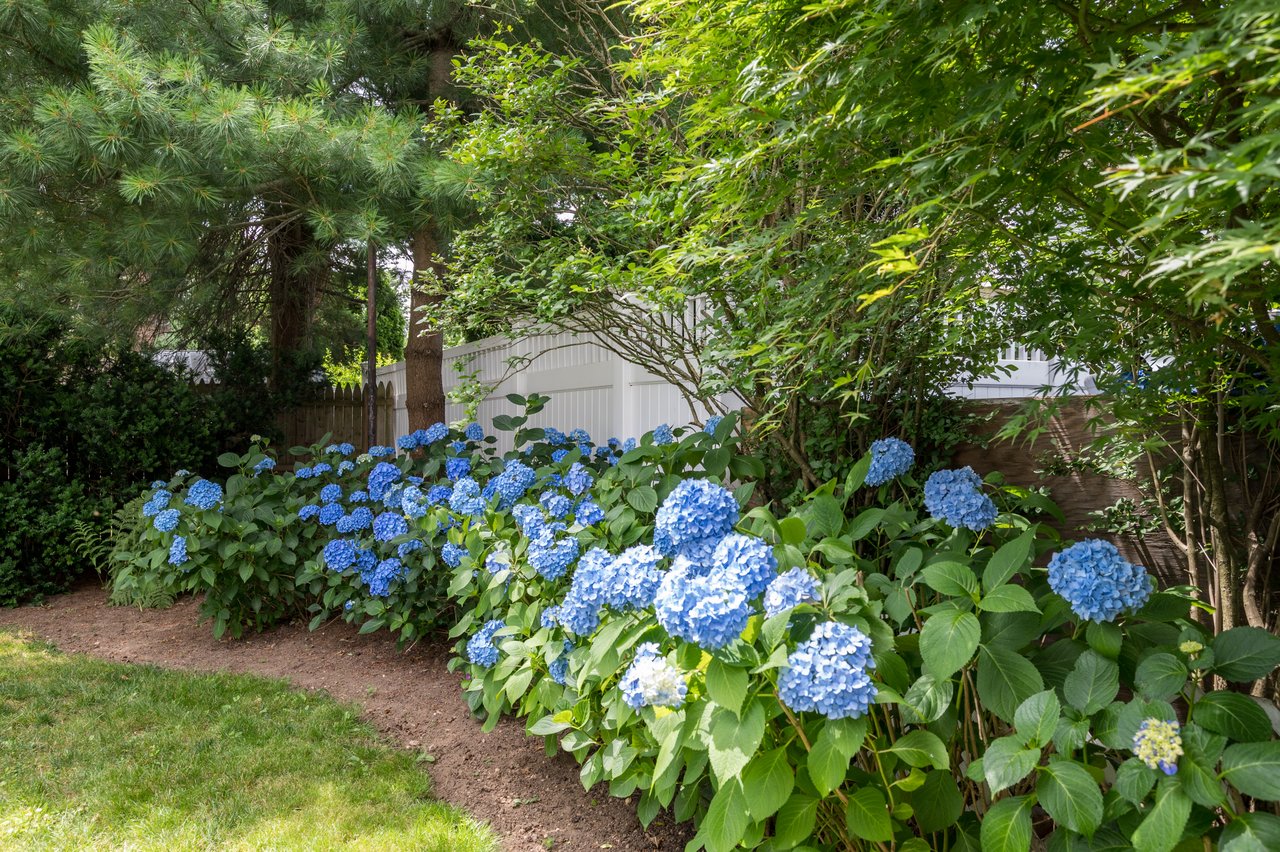 31 Chestnut Avenue