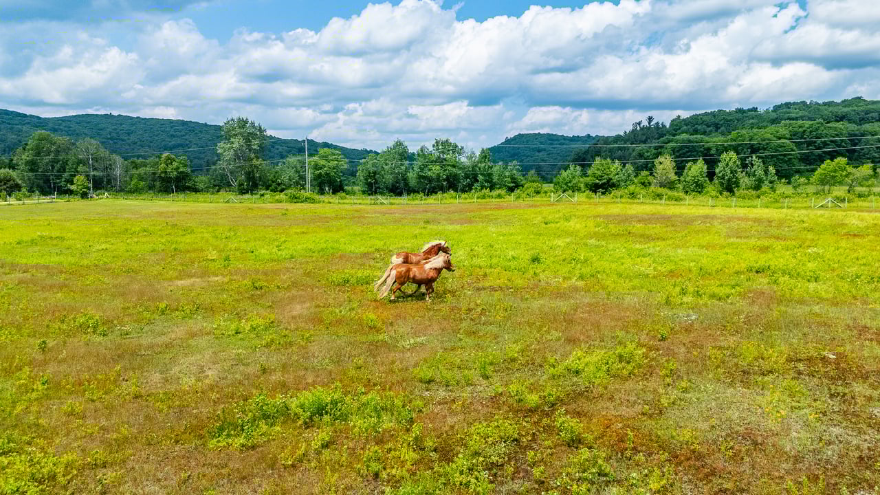 778 MAXWELL SETTLEMENT ROAD