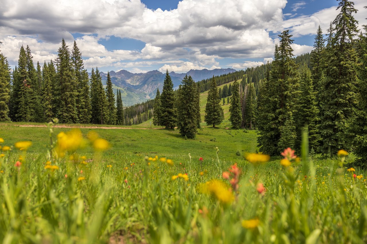 Vail Valley