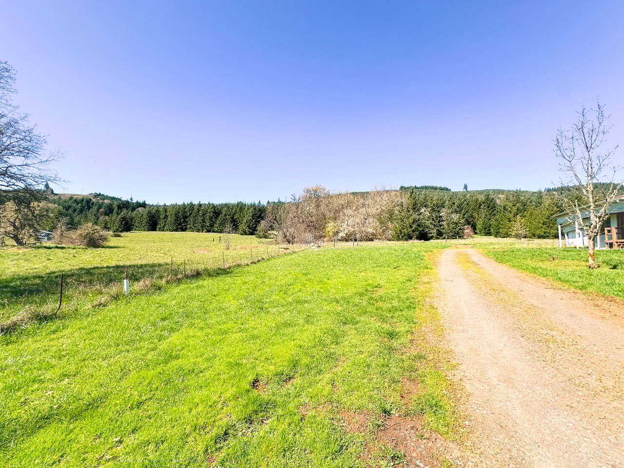 HARRIS FARM & FOREST