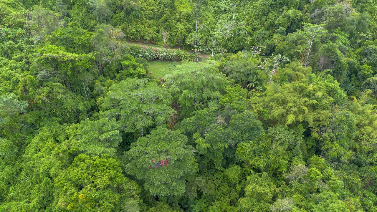Waterfall Retreat with Casita & Build-Ready Lot in Cascada Azul, Baru