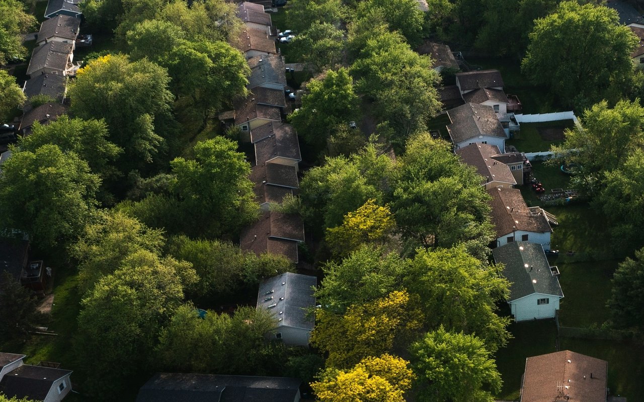Aerial view of detached homes surrounded by mature trees and green yards.