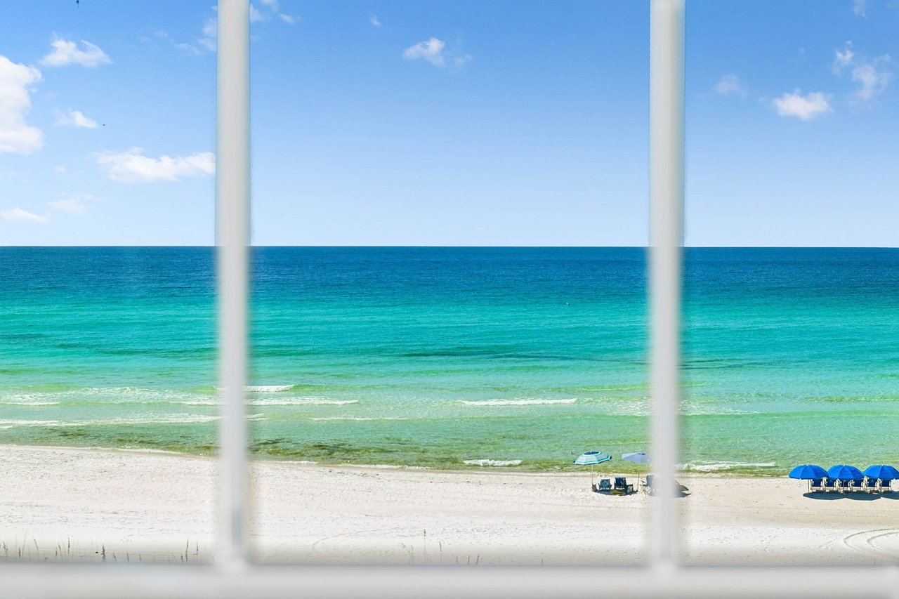Three Palms