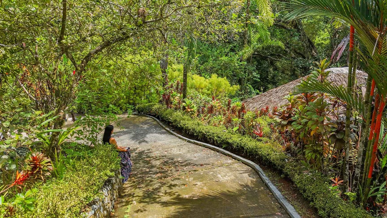 Ojochal Jungle Retreat for Sale with River, Pool, and Income-Generating Casitas