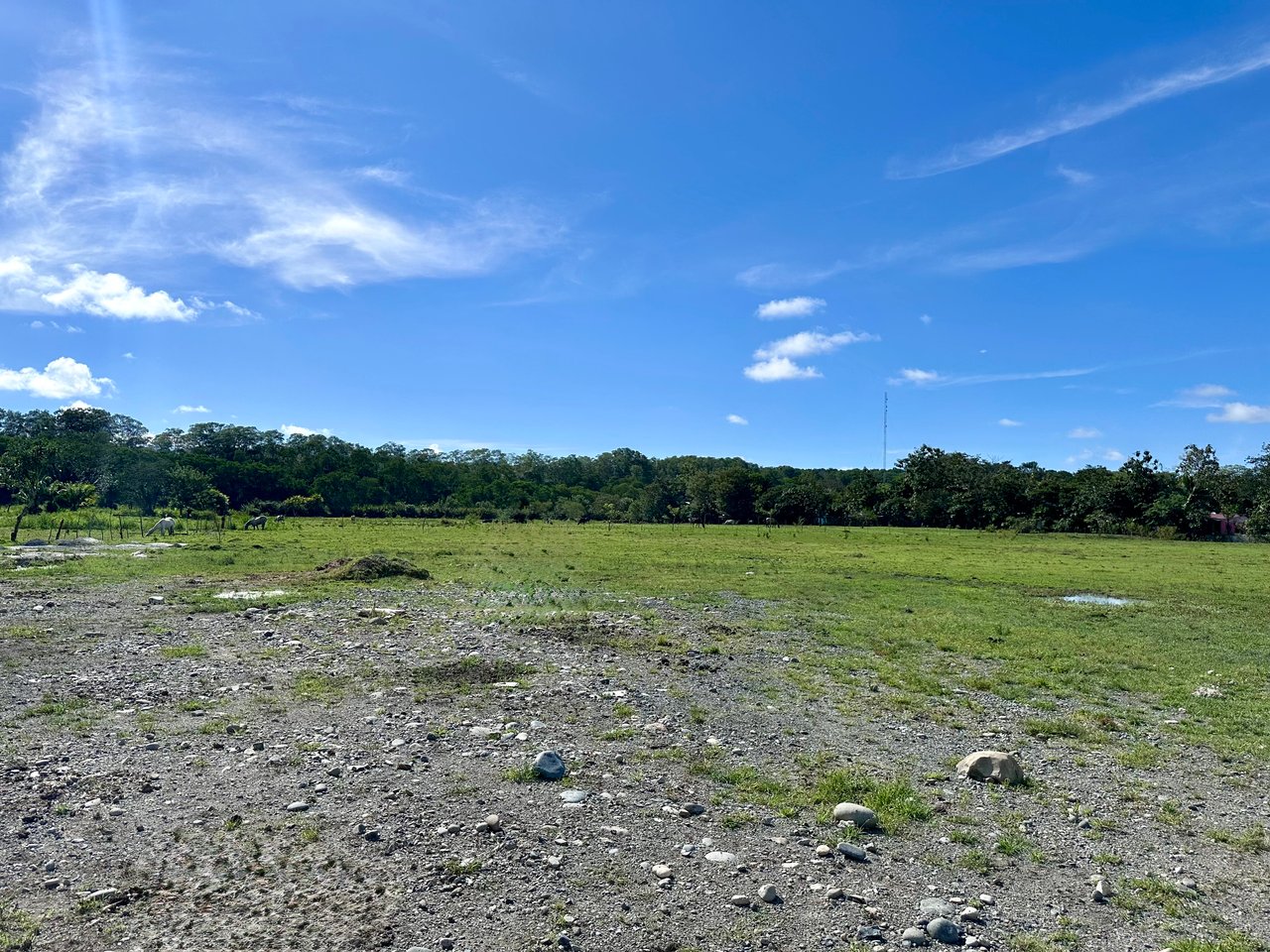 Prime Development Land Steps from the Marino Ballena National Park - Lot A