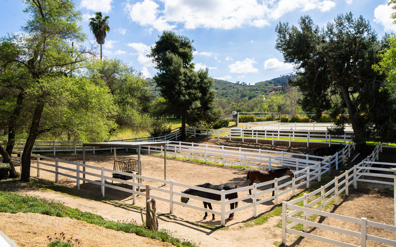 7017 Via Mariposa Sur