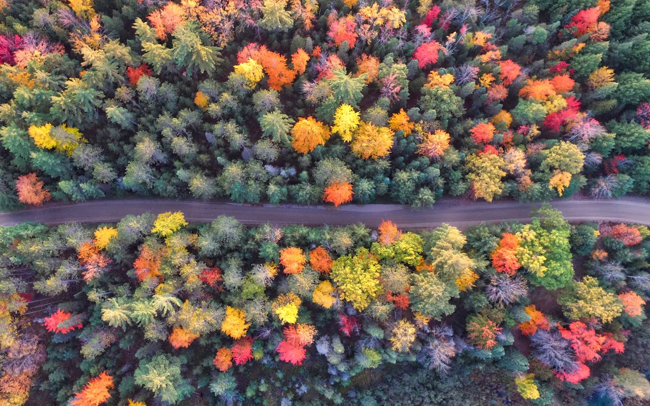 Things to Do this Fall in Newport, RI