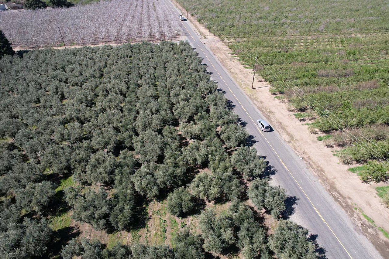 Olive Processing Plant with Olive Orchard & Residence