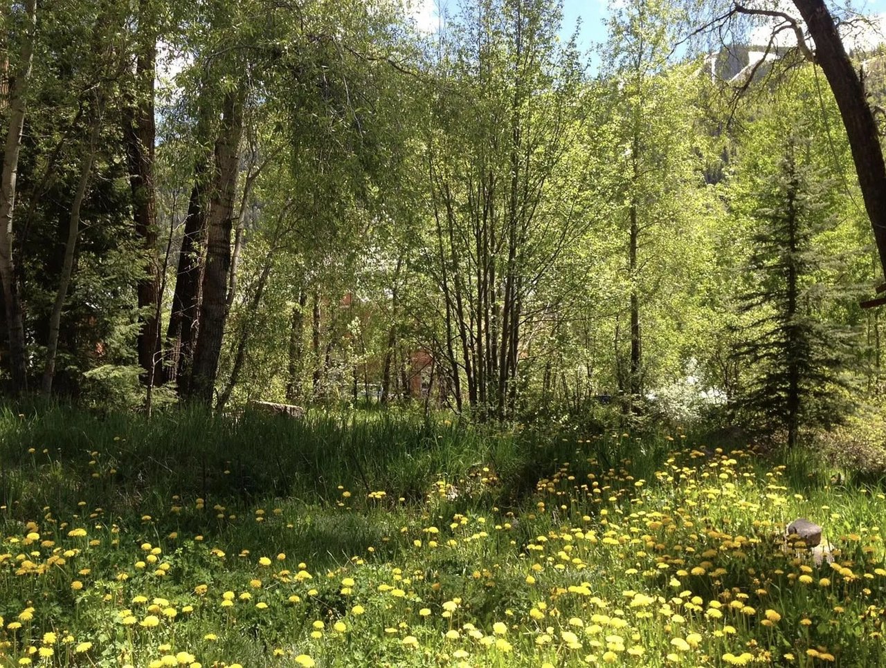 475/477 W Galena Ave #19/20