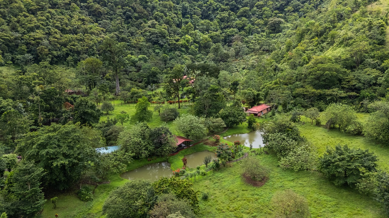 Finca Mei Tai | Enchanting property! Don't miss your chance to own a piece of paradise!