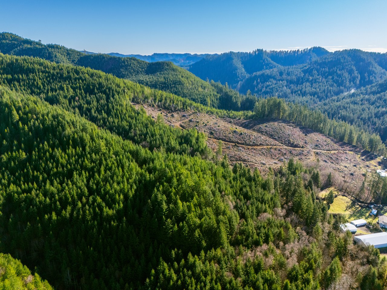 RICHARDSON TIMBER