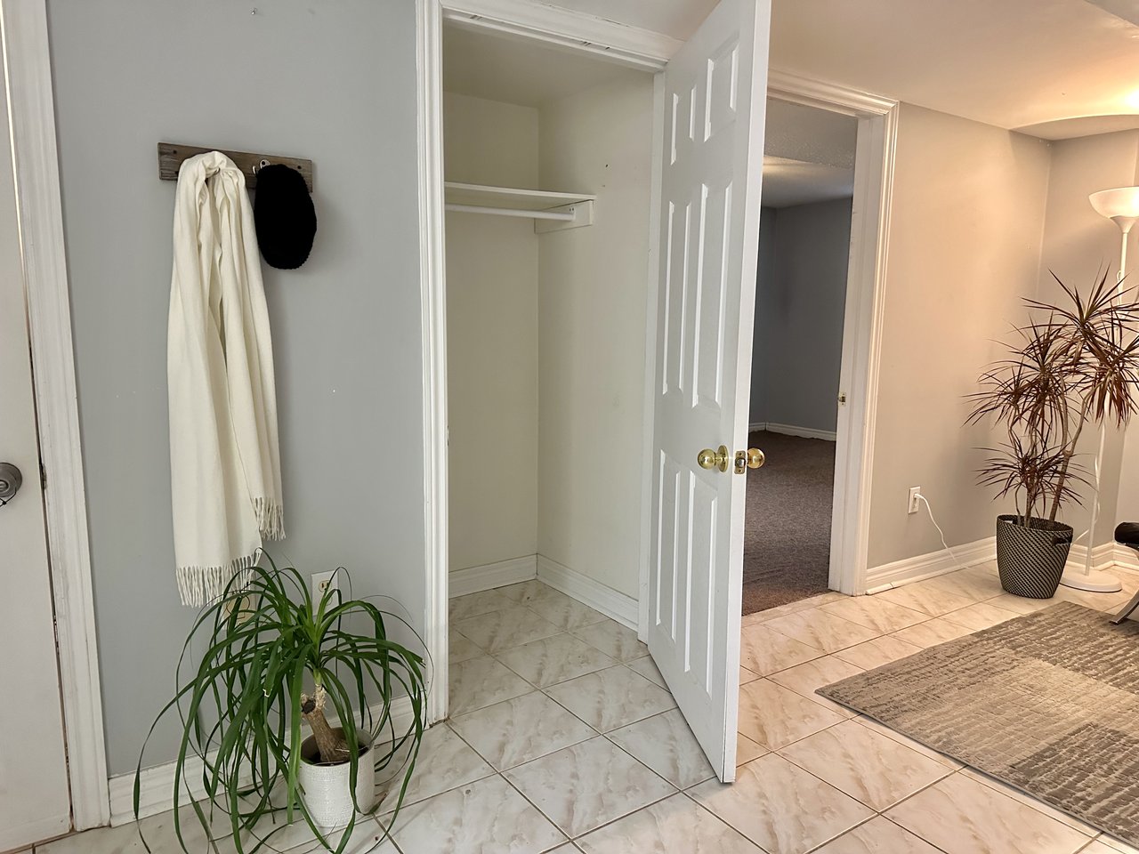 5 Belwood Boulevard  Unit:Bsmt