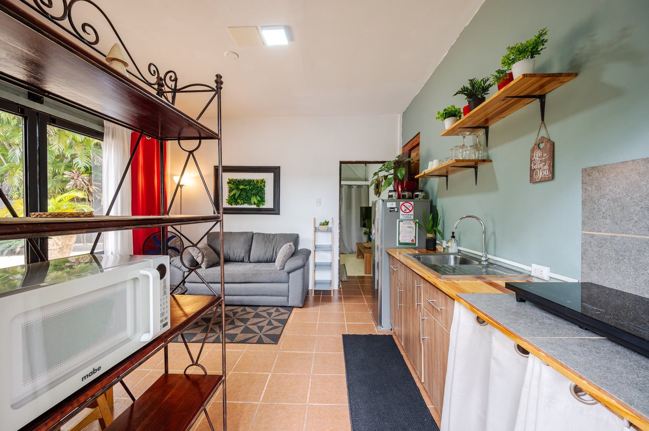Cornett Retreat: High-Performing Multi-Unit Investment Near Playa Grande 