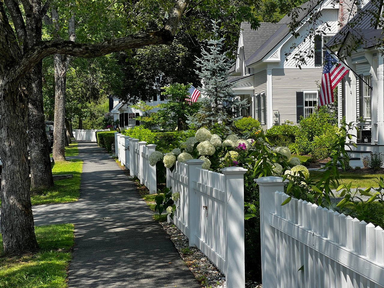 The Pros and Cons of Living in Springfield, VA