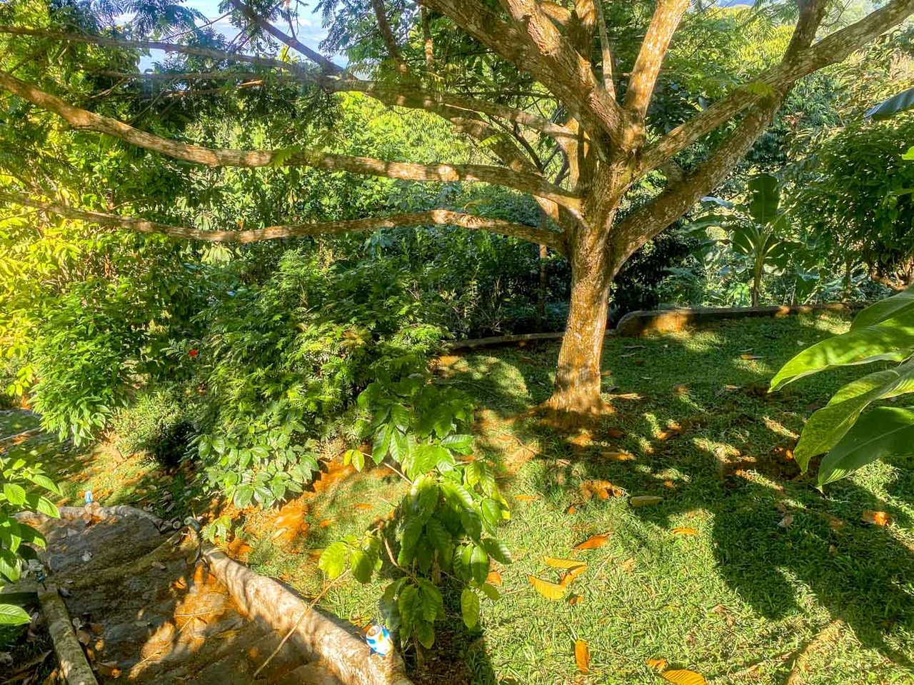 Ocean, Jungle & Mountain View Home in Ojochal | Protected Jungle Setting