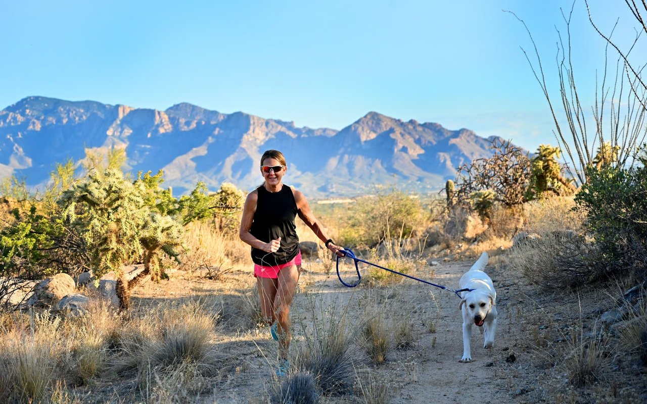 Best Hiking Trails Near Tucson
