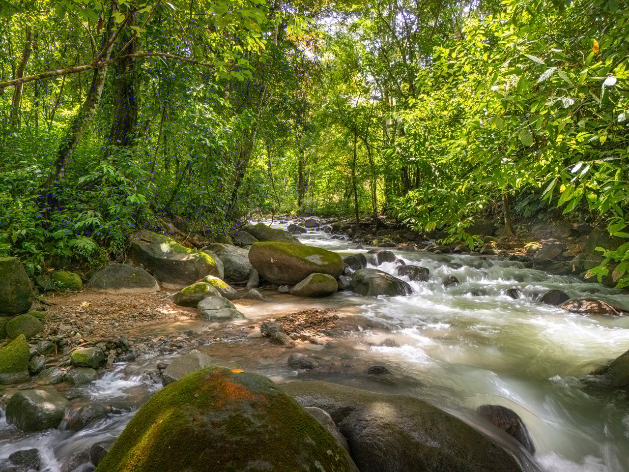 Plant Your Roots at Tierra Bendita! 2.5 Acres, River Frontage, 2 Bedroom Home, Private, Easy Access!