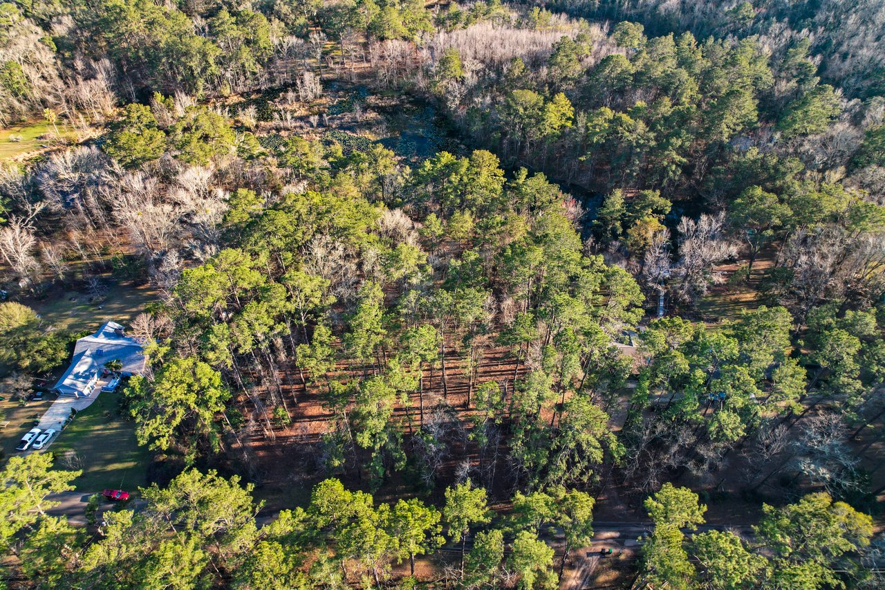 Aerial view of a dense forest with towering green trees and a small house nestled at the forest's edge. A road runs nearby, surrounded by lush greenery.Aerial view of a dense forest with towering green trees and a small house nestled at the forest's edge. A road runs nearby, surrounded by lush greenery.