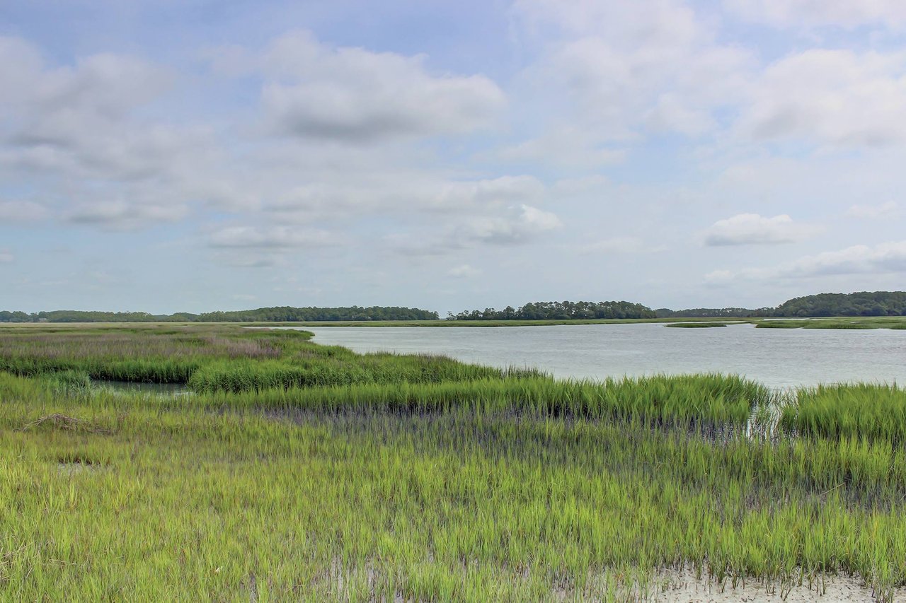 Moss Creek