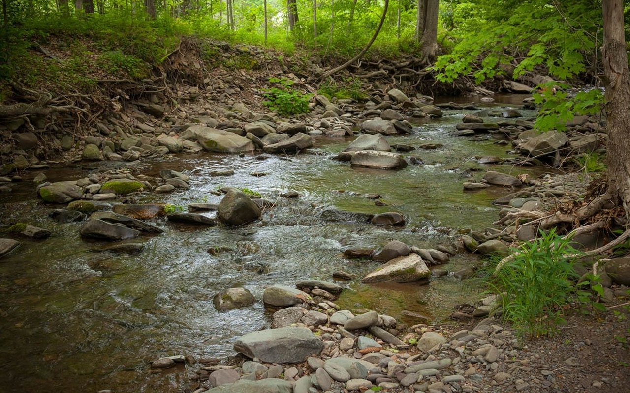 Ulster County Real Estate | New to Market: 85-93 Eighmey Road, Willow, NY