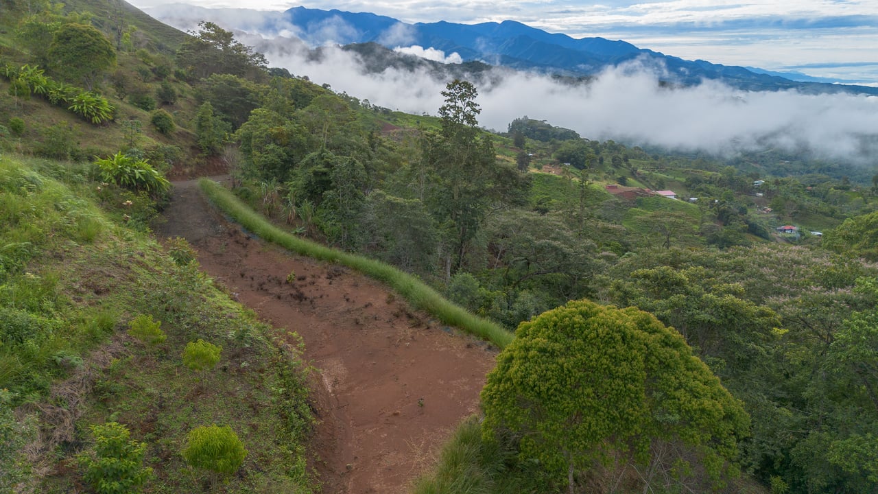 10.21 Acres with Views & Plantels – Pérez Zeledón
