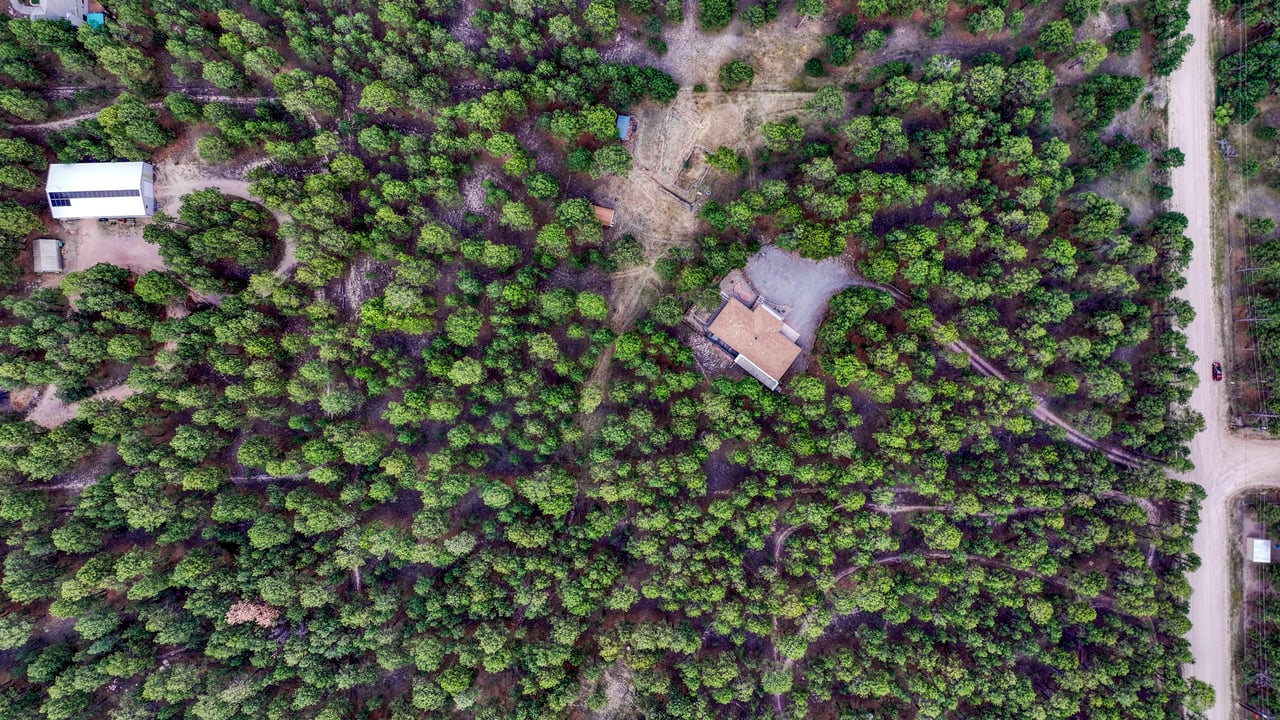 9950 Pine Park Trail